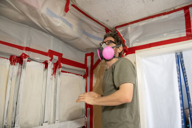 Best Black Mold Removal  in St James, NC