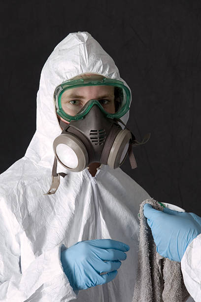Best Asbestos and Lead Testing During Mold Inspection  in St James, NC